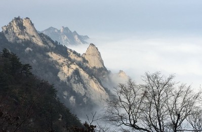 Image 273771188