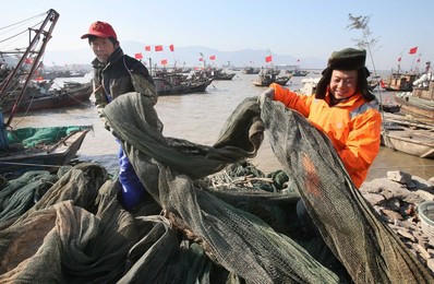 Image 274195609