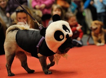 Image 275040089