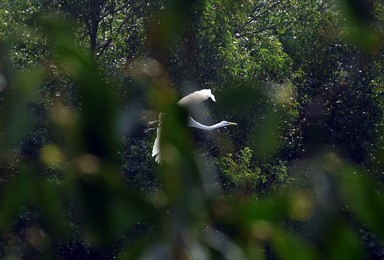 Image 275915811