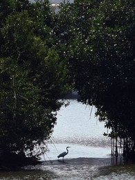 Image 275915812