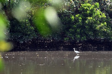 Image 275915814