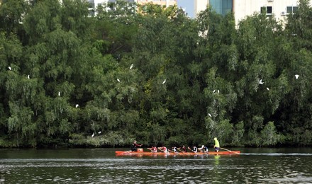 Image 275915815