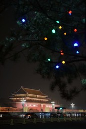 Image 276141005