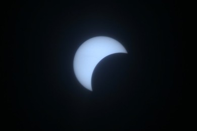Image 276747446
