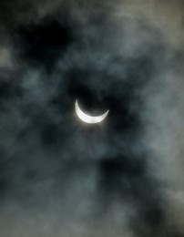 Image 276747449