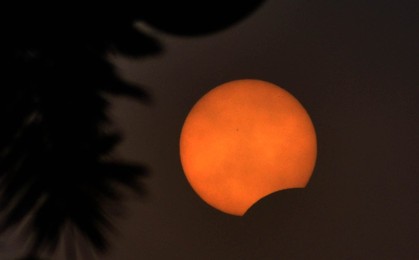 Image 276819880