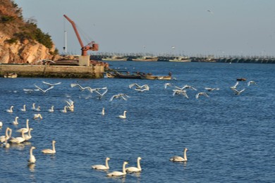 Image 276889192