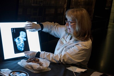 Fire Fire at Museum of London