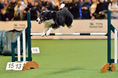 Image 276949785