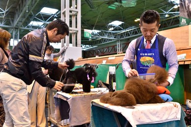 Image 276969744