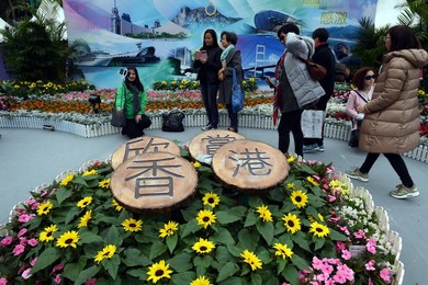 Image 276970401
