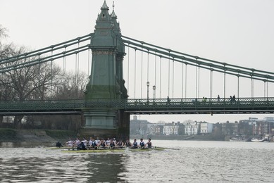 Image 277139263