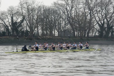 Image 277139419
