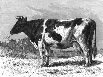 Image 277201328