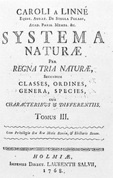 Image 277205264