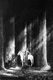 Image 277229098