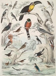 Image 277256098