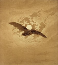 Image 277267816