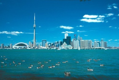 Image 277269602