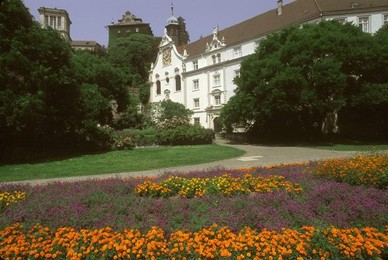 Image 277269657
