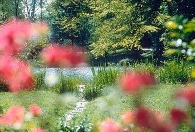 Image 277269665
