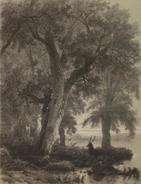 Image 277275786