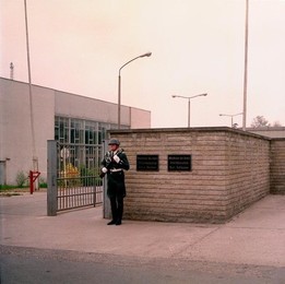 Image 277281195