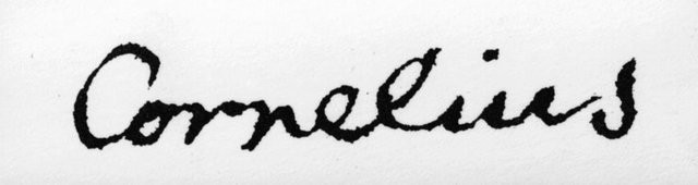 Image 277294595
