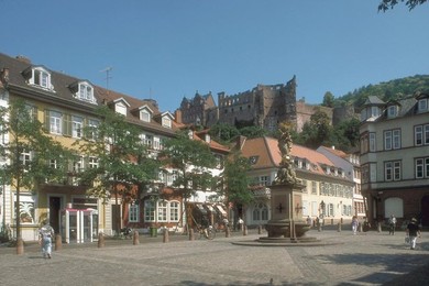 Image 277305313