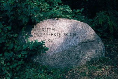 Image 277309821