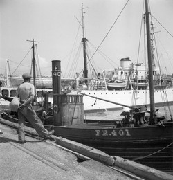 Image 277317886