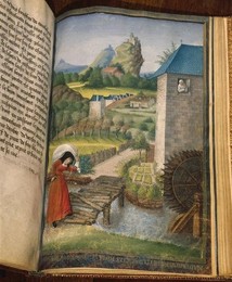 Image 277319913