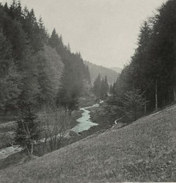 Image 277324115