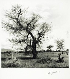 Image 277360705