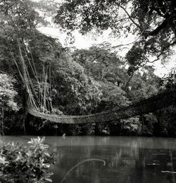 Image 277377258