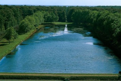 Image 277379230