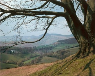 Wales, Llangollen, landscape / photo