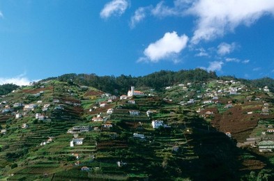 Image 277385229