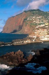 Image 277385254