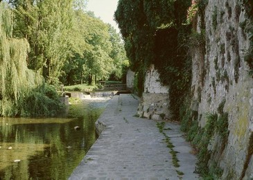Image 277395535