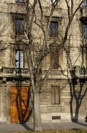 Image 277408683