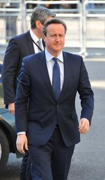 Image 277417838