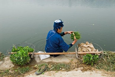 Image 277429175