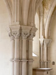 Image 277449870