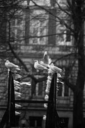 Image 277451873