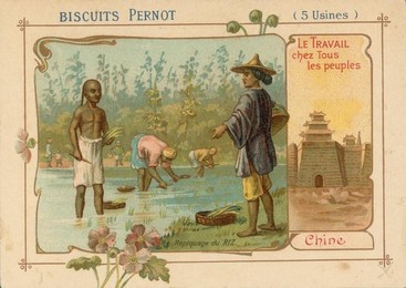 Image 277458189
