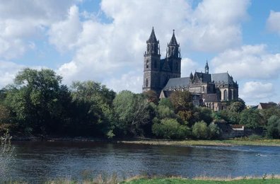 Image 277466011