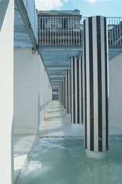 Image 277473206