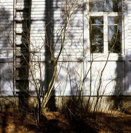 Image 277474694